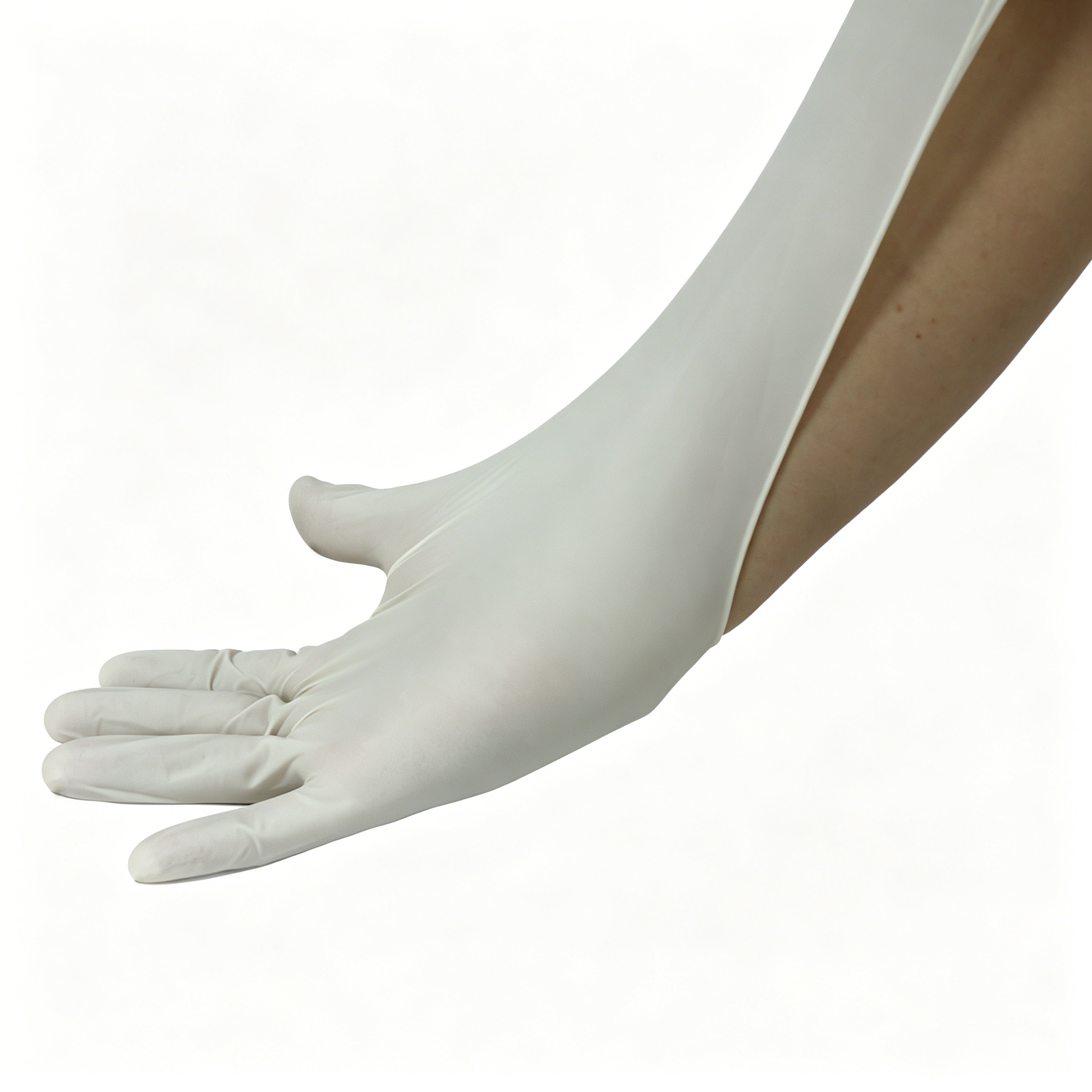 Disposable medical rubber exam - Latex Disposable Glove recensione e prezzo