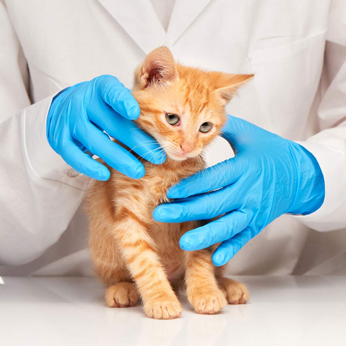 Latex-Free Blue Nitrile Exam G - Exam Glove Nitrile recensione e prezzo